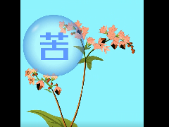 二維動畫——九紀(jì)苦蕎茶